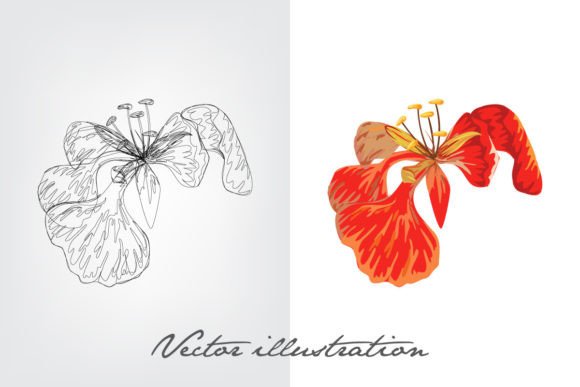 Download Flower Vector Illustration - Illustration Collection