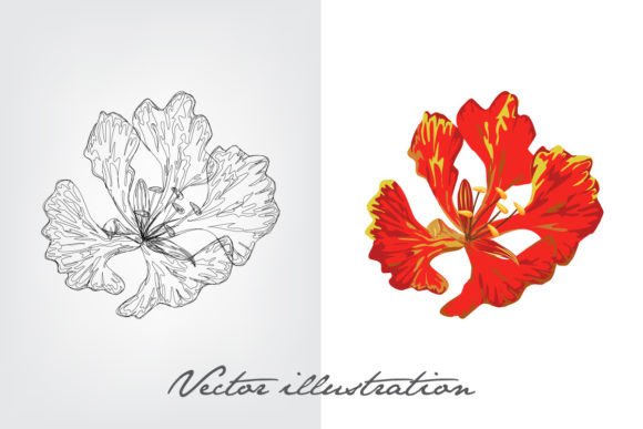 Download Flower Vector Illustration - Illustration Collection