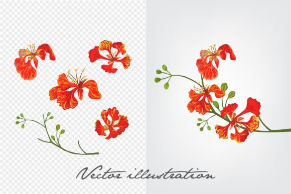 Download Flower Vector Illustration - Illustration Collection