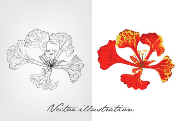 Download Flower Vector Illustration - Illustration Collection